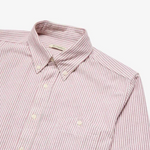 Brother Wolf Script Bordeaux | Brotherwolf | Mad About The Boy