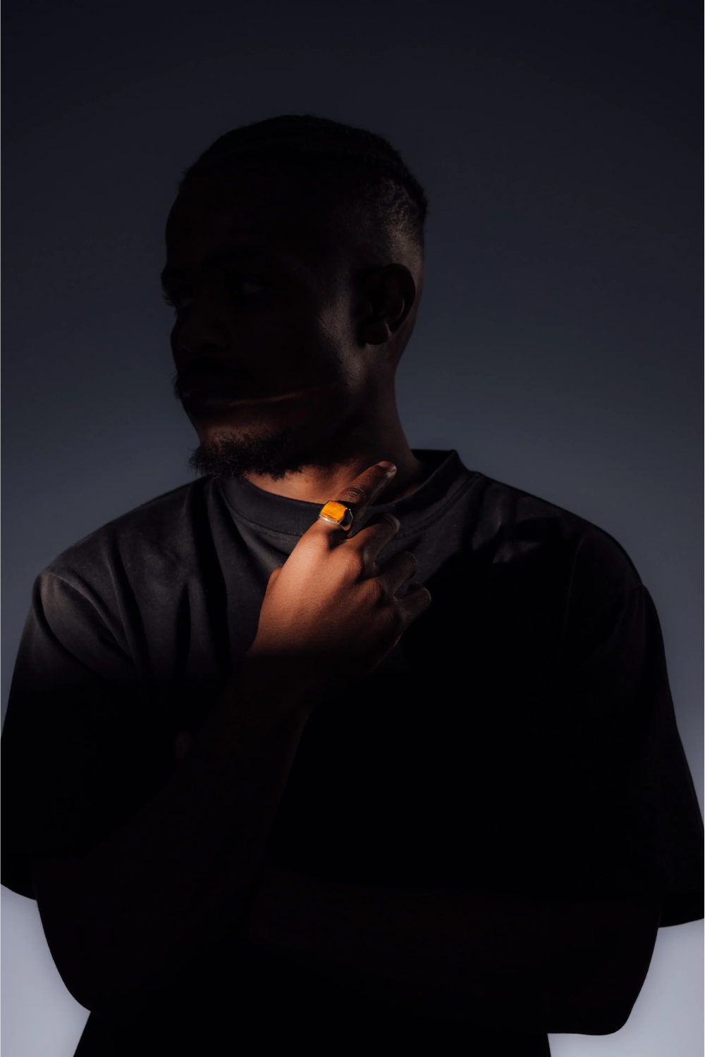 Cushion Signet - Tiger Eye | DON DU CIEL | Mad About The Boy