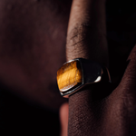 Cushion Signet - Tiger Eye | DON DU CIEL | Mad About The Boy