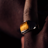 Cushion Signet - Tiger Eye | DON DU CIEL | Mad About The Boy