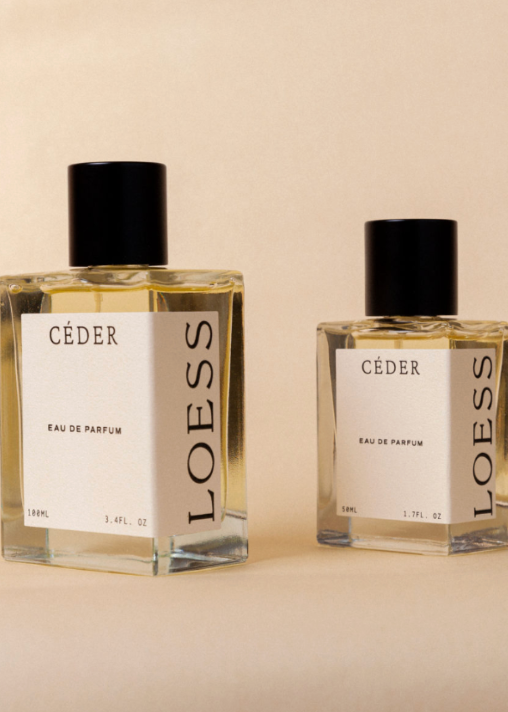 LOESS - CÉDER | Loess | Mad About The Boy