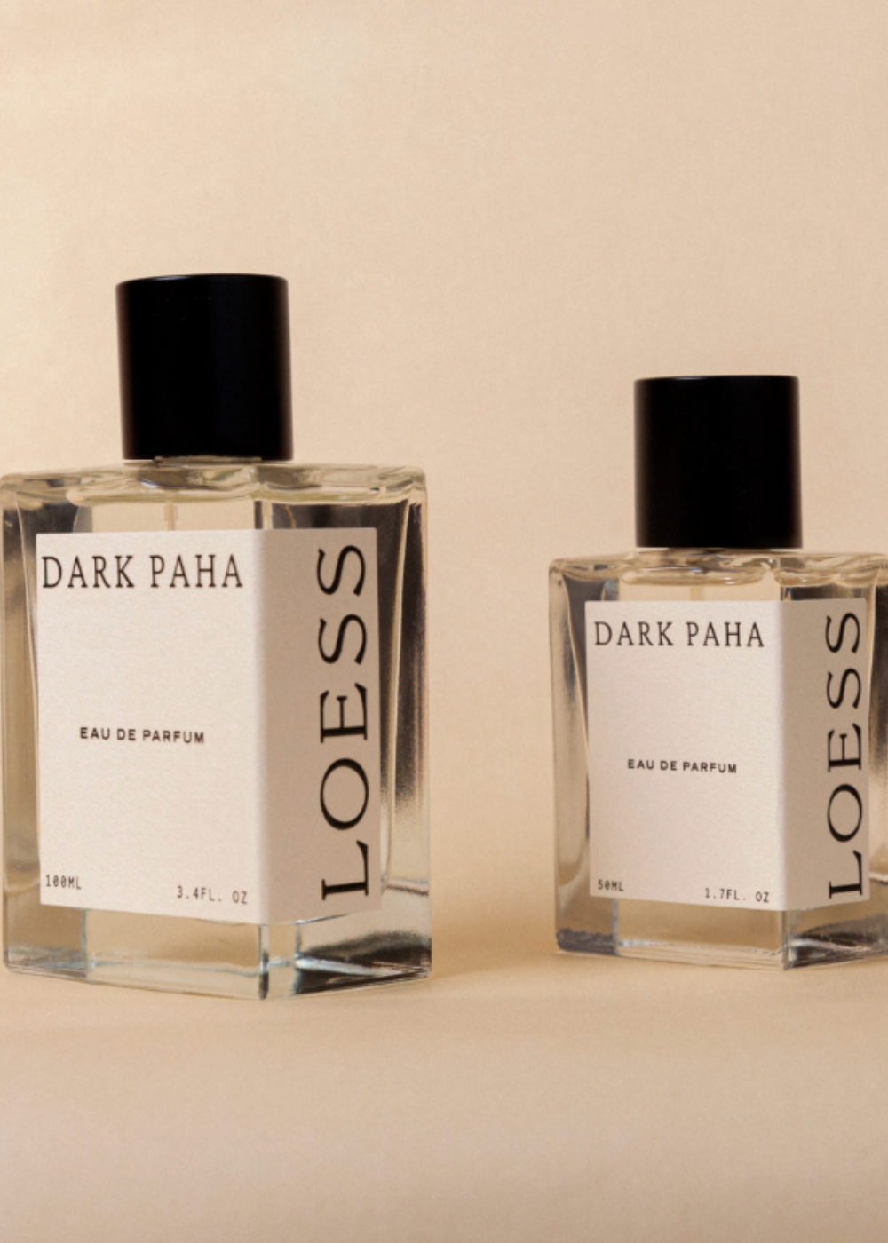 LOESS - DARK PAHA | Loess | Mad About The Boy