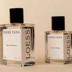 LOESS - DARK PAHA | Loess | Mad About The Boy