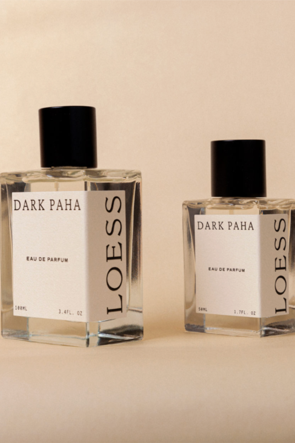 LOESS - DARK PAHA | Loess | Mad About The Boy