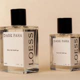 LOESS - DARK PAHA | Loess | Mad About The Boy