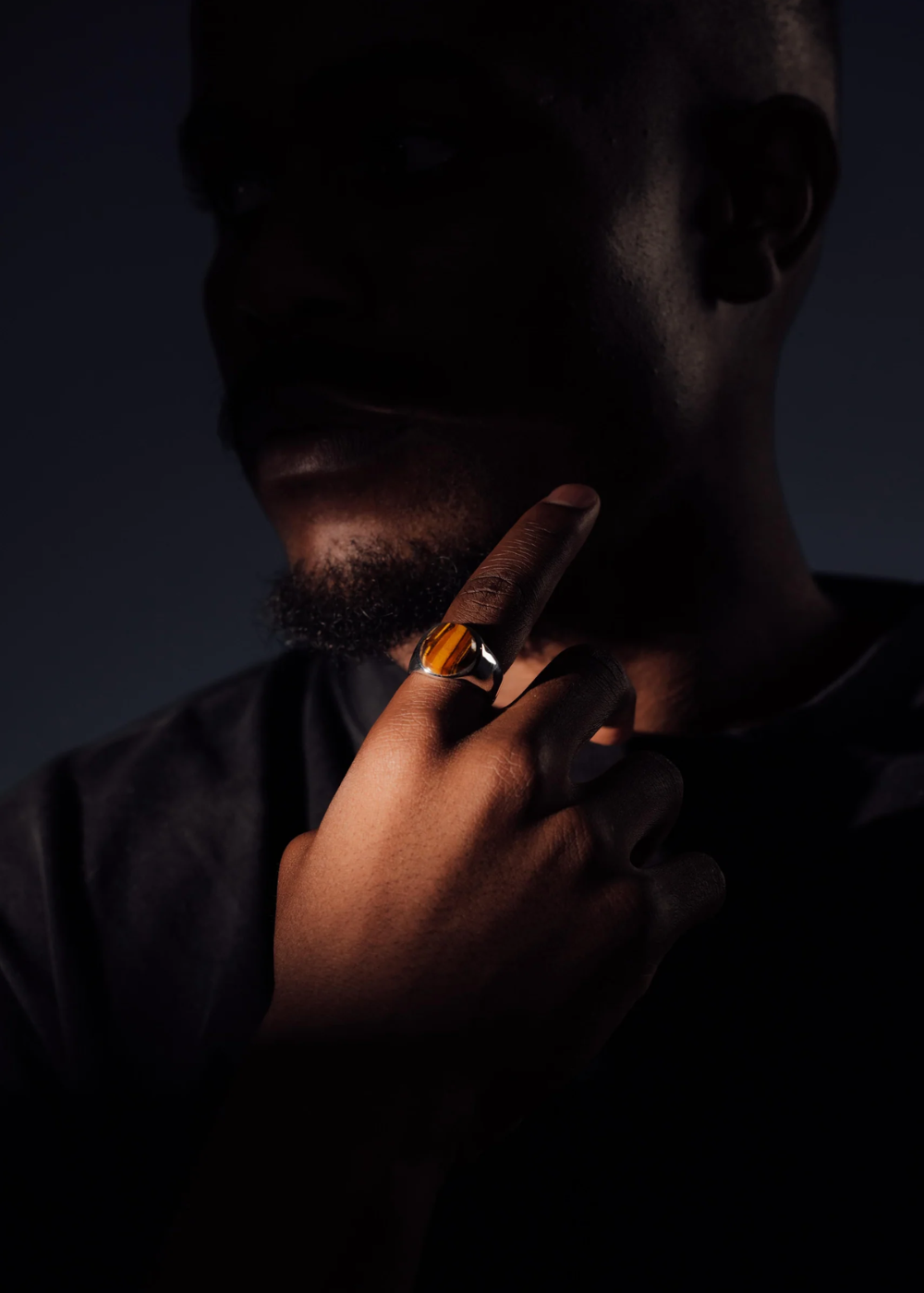 Oval Signet - Tiger Eye | DON DU CIEL | Mad About The Boy