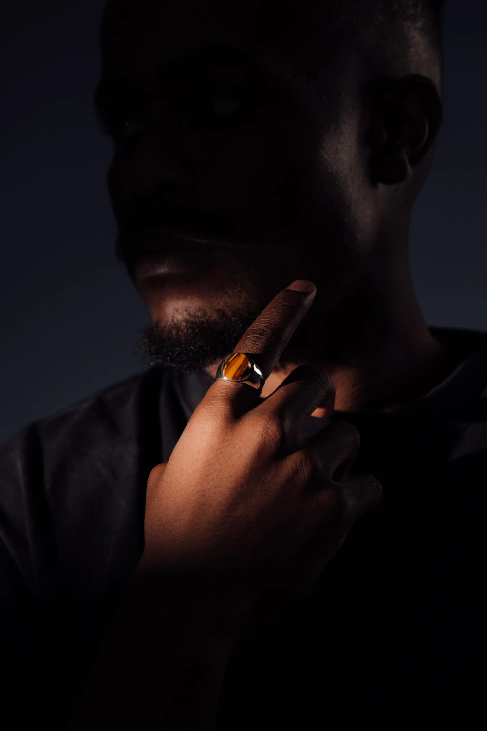 Oval Signet - Tiger Eye | DON DU CIEL | Mad About The Boy